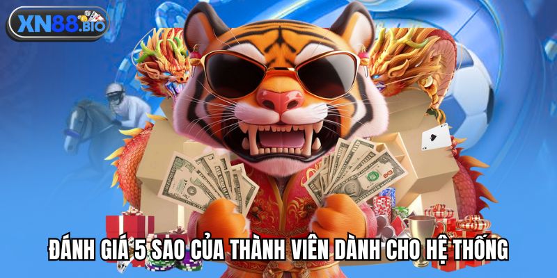 Đánh giá 5 sao của thành viên dành cho hệ thống
