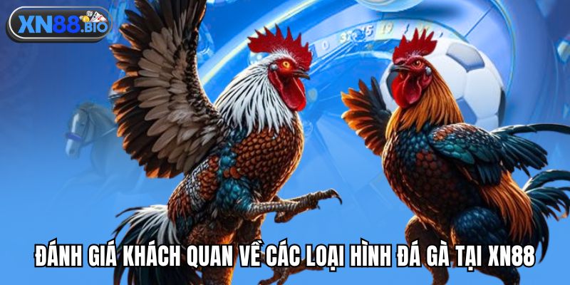 Đánh giá khách quan về các loại hình đá gà tại XN88
