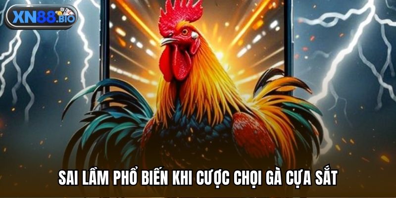 Sai lầm phổ biến khi cược chọi gà cựa sắt