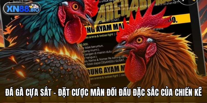 Đá gà cựa sắt