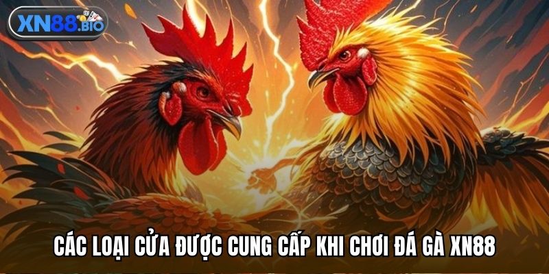 Các loại cửa được cung cấp khi chơi đá gà XN88