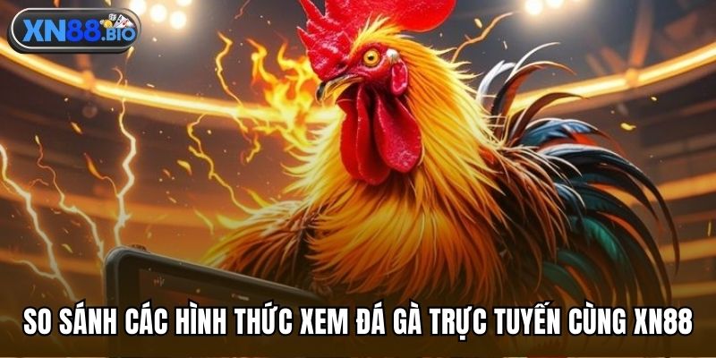 So sánh các hình thức xem đá gà trực tuyến cùng XN88