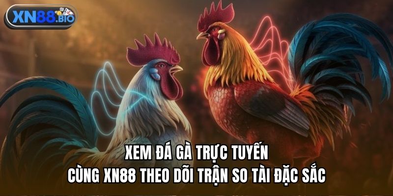 Xem đá gà trực tuyến